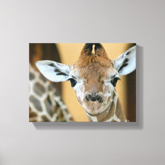 Giraffe Leinwanddruck (Vorderseite)