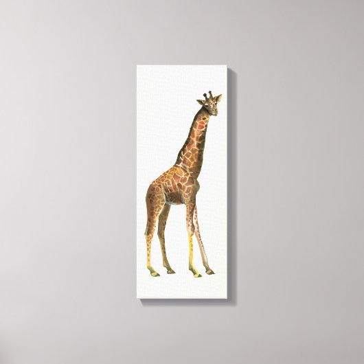 Giraffe Leinwanddruck (Vorderseite)