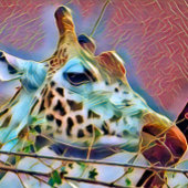 GIRAFFE LEINWANDDRUCK