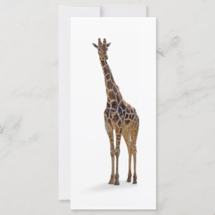 Giraffe Lesezeichen / Rackcard