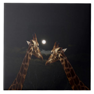 Giraffe Liebe im Mondschein, Fliese