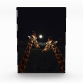 Giraffe Liebe im Mondschein, Fotoblock (Vorderseite)