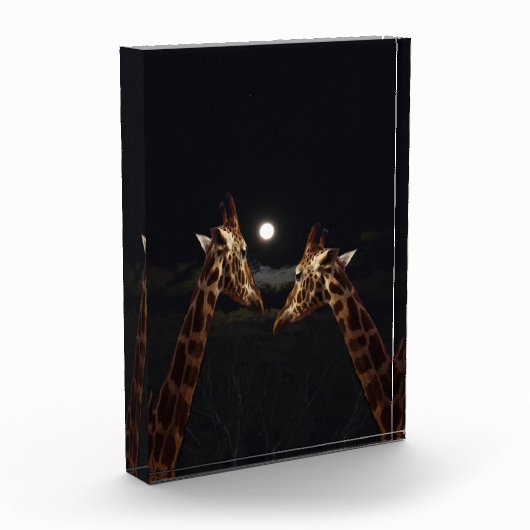Giraffe Liebe im Mondschein, Fotoblock (Links)