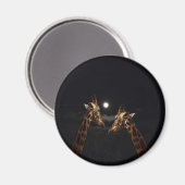 Giraffe Liebe im Mondschein, Magnet (Vorderseite/Rückseite)