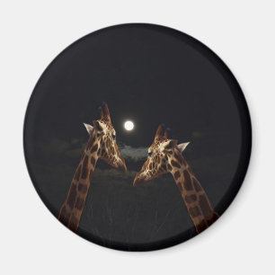 Giraffe Liebe im Mondschein, Magnet