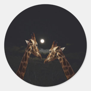 Giraffe Liebe im Mondschein, Runder Aufkleber