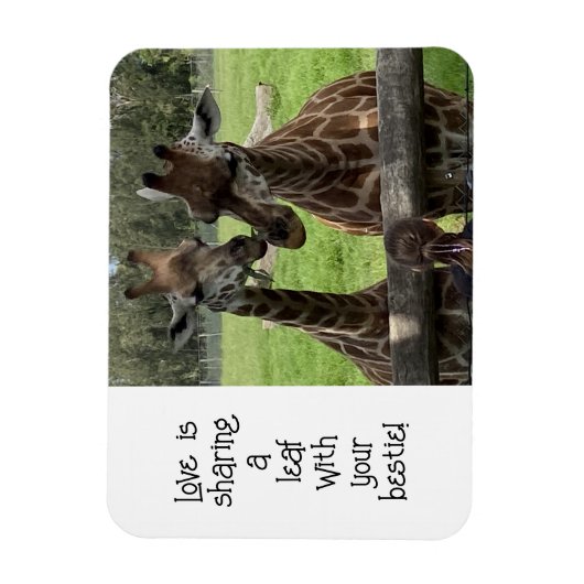 Giraffe Liebe... Magnet (Vertikal)