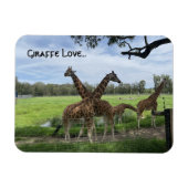 Giraffe Liebe...Magnet Magnet (Horizontal)