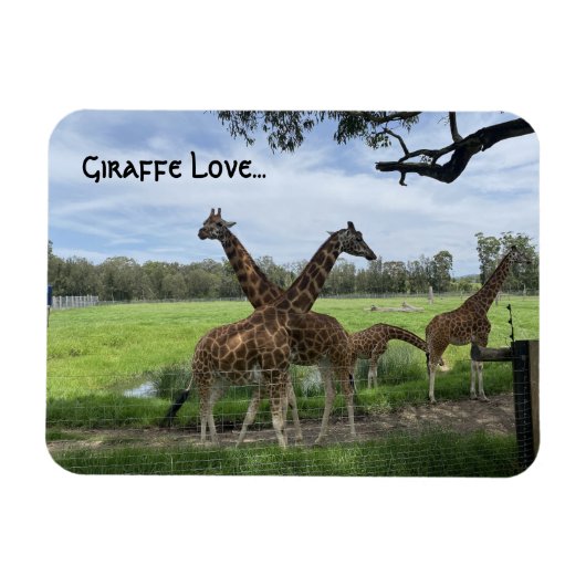 Giraffe Liebe...Magnet Magnet (Horizontal)