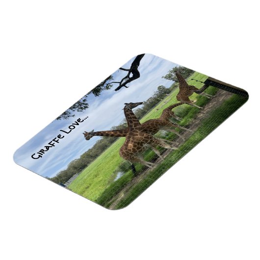 Giraffe Liebe...Magnet Magnet (Linke Seite)