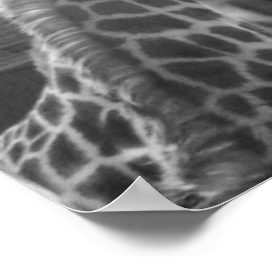 Giraffe-Liebe Poster (Ecke)