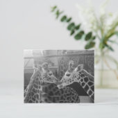 Giraffe-Liebe Postkarte (Stehend Vorderseite)