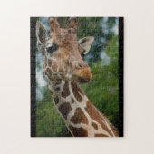 Giraffe-Liebe Puzzle (Vertikal)