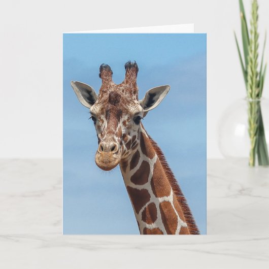 Giraffe Looking Right At Karte (Vorderseite)