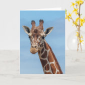 Giraffe Looking Right At Karte (Gelbe Blume)