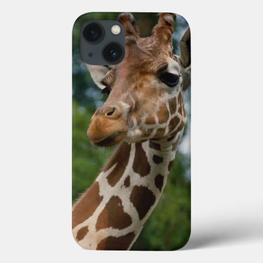 Giraffe Lovers Case-Mate iPhone Hülle (Rückseite)