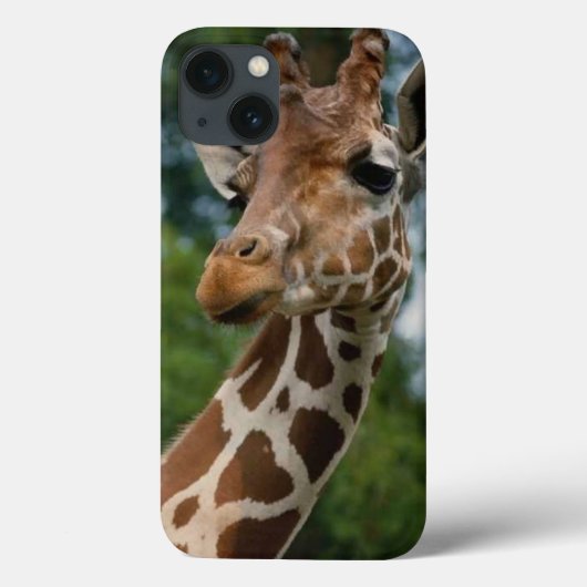 Giraffe Lovers Case-Mate iPhone Hülle (Rückseite)
