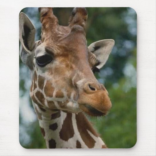 Giraffe Lovers Kunstgeschenke Mousepad (Vorne)