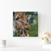 Giraffe Lovers Kunstgeschenke Quadratische Wanduhr (Zuhause)
