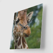 Giraffe Lovers Kunstgeschenke Quadratische Wanduhr (Winkel)