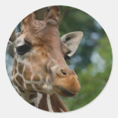 Giraffe Lovers Kunstgeschenke Runder Aufkleber (Vorderseite)