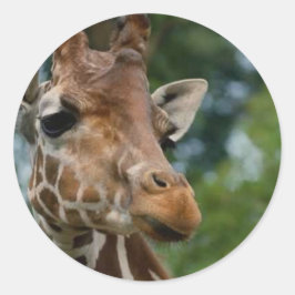 Giraffe Lovers Kunstgeschenke Runder Aufkleber
