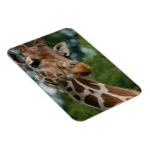 Giraffe Lovers Wildlife Magnet (Rechte Seite)