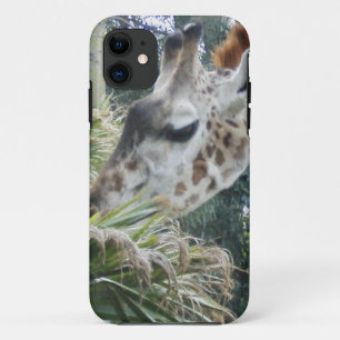 Giraffe Lunch iPhone 5 Fall Case-Mate iPhone Hülle