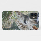 Giraffe Lunch iPhone 5 Fall Case-Mate iPhone Hülle (Rückseite (Horizontal))