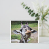 Giraffe Lunch Postkarte (Stehend Vorderseite)