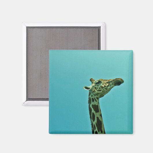 Giraffe Magnet (Vorderseite/Rückseite)