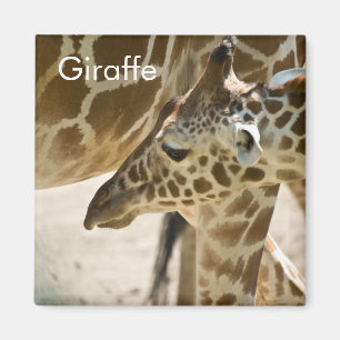 Giraffe ・ Magnet