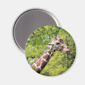 Giraffe Magnet (Vorderseite/Rückseite)