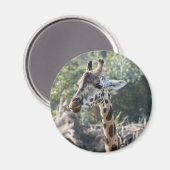 Giraffe Magnet (Vorderseite/Rückseite)
