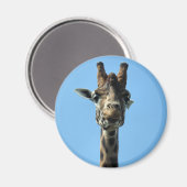 GIRAFFE MAGNET (Vorderseite/Rückseite)