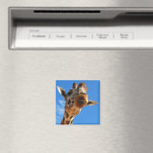 Giraffe Magnet (In Situ (Geschirrspüler))