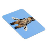 Giraffe Magnet (Rechte Seite)