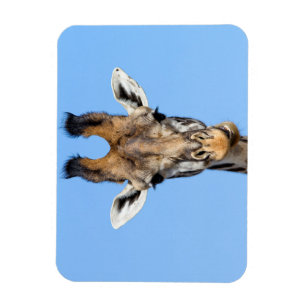 Giraffe Magnet