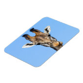 Giraffe Magnet (Linke Seite)