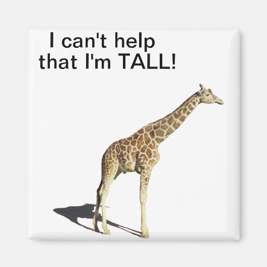 Giraffe Magnet (Vorne)