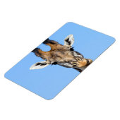 Giraffe Magnet (Linke Seite)