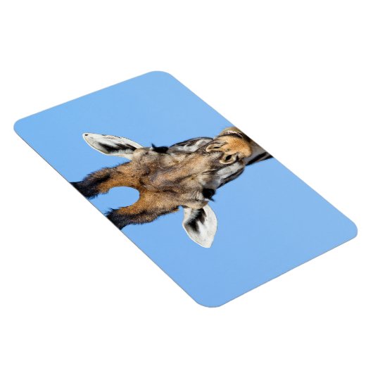 Giraffe Magnet (Rechte Seite)