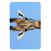 Giraffe Magnet (Vertikal)