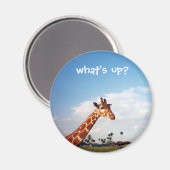 Giraffe Magnet (Vorderseite/Rückseite)