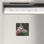 Giraffe Magnet (In Situ (Geschirrspüler))