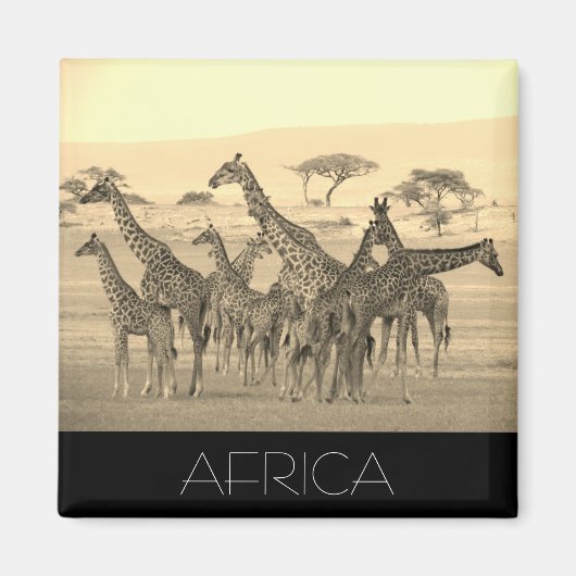 Giraffe Magnet (Vorne)