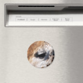 GIRAFFE MAGNET (In Situ (Geschirrspüler))