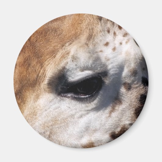 GIRAFFE MAGNET (Vorne)