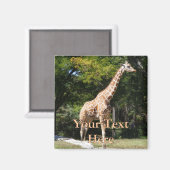 Giraffe Magnet (Vorderseite/Rückseite)