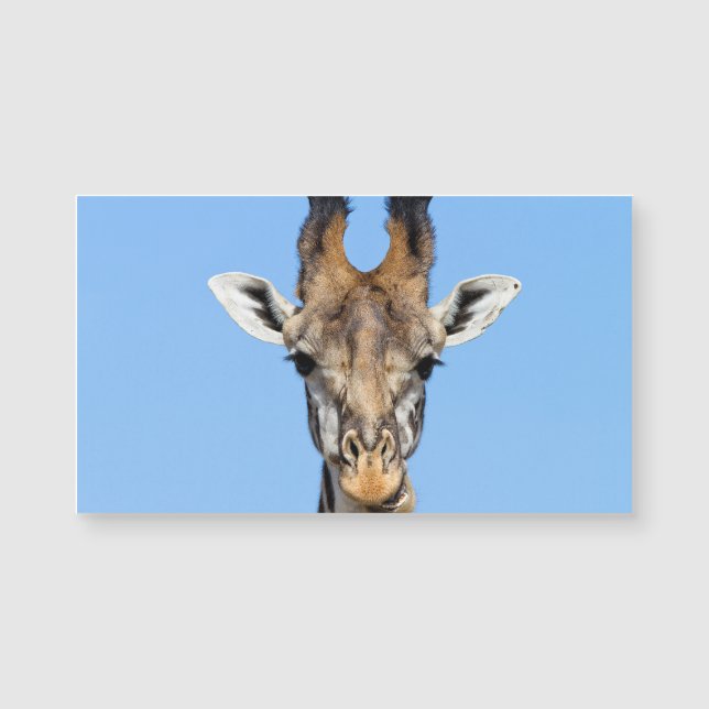 Giraffe Magnetkarte (Vorderseite)